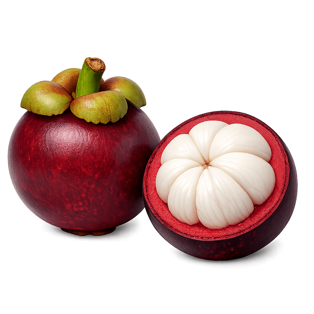 Mangosteen