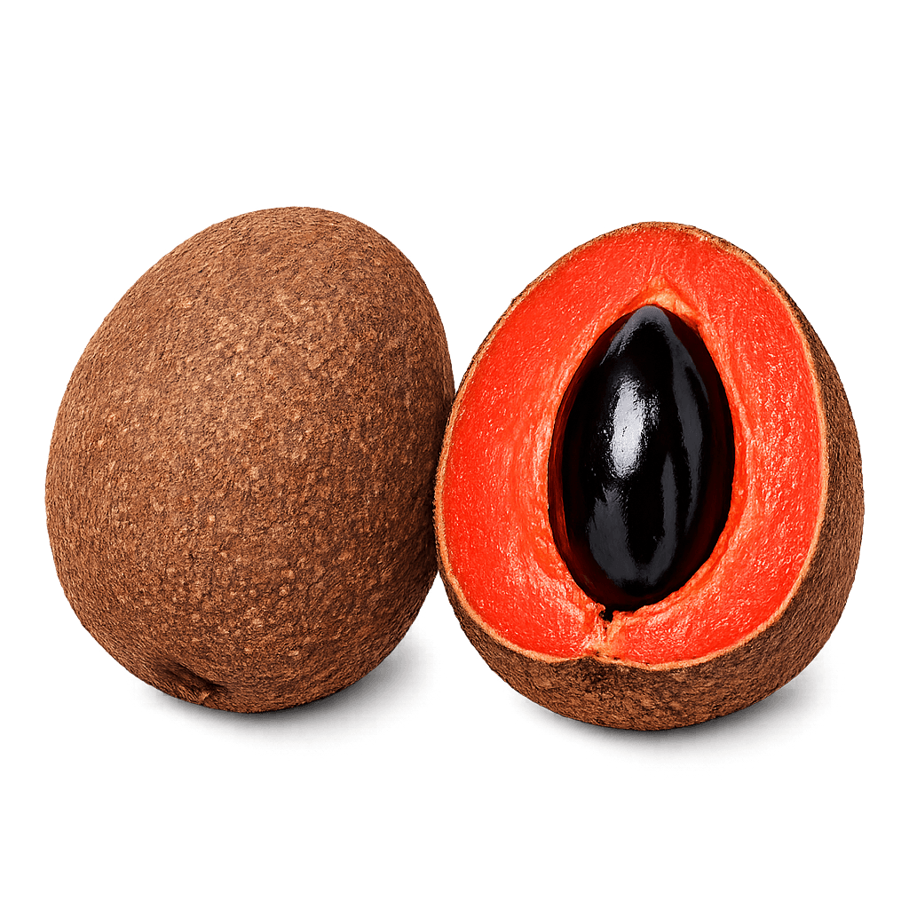 Sapote